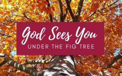 God Sees You Under the Fig Tree